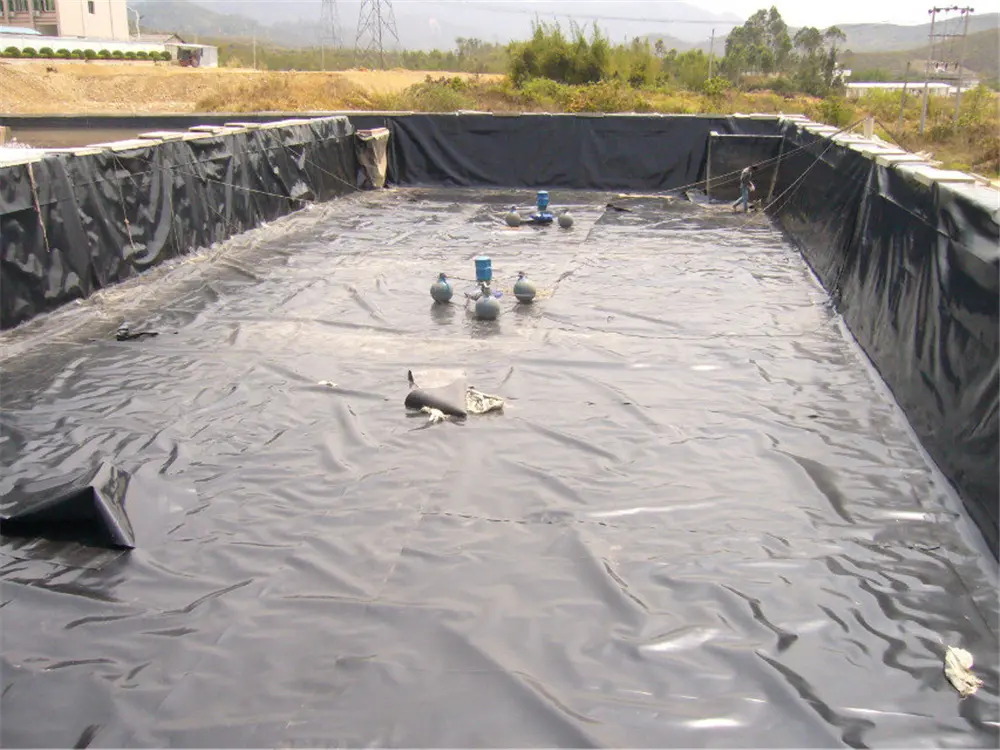 large-scale aquaculture project in a certain area of Shandong (1)8fp