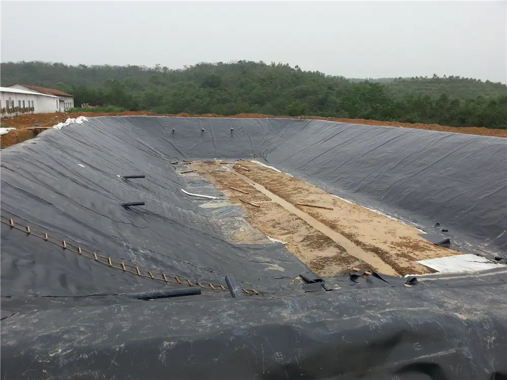 biogas tank anti-seepage project of a large pig breeding enterprise (2)mwv