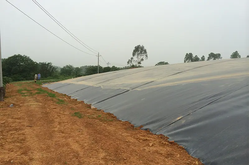 Biogas tank anti-seepage project of a large pig breeding enterprise