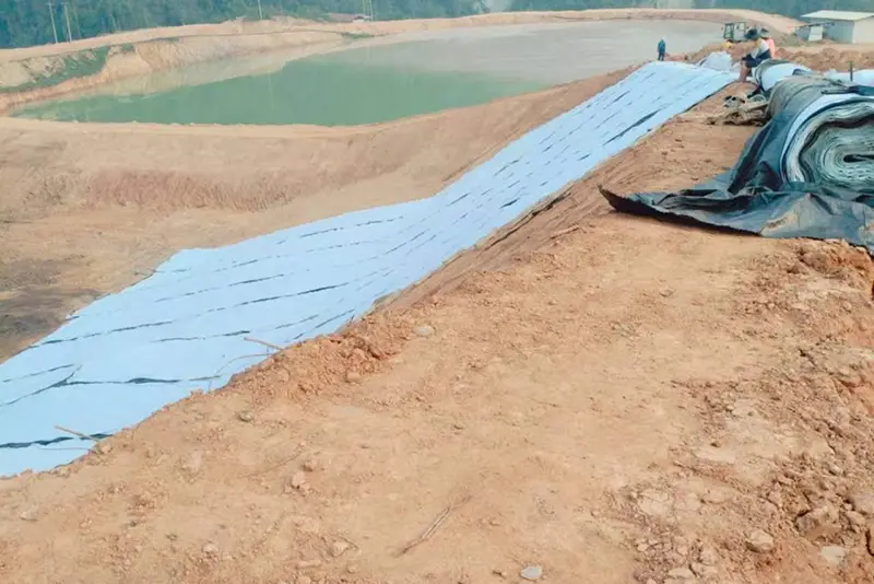 Overseas seepage prevention project of a gold mine