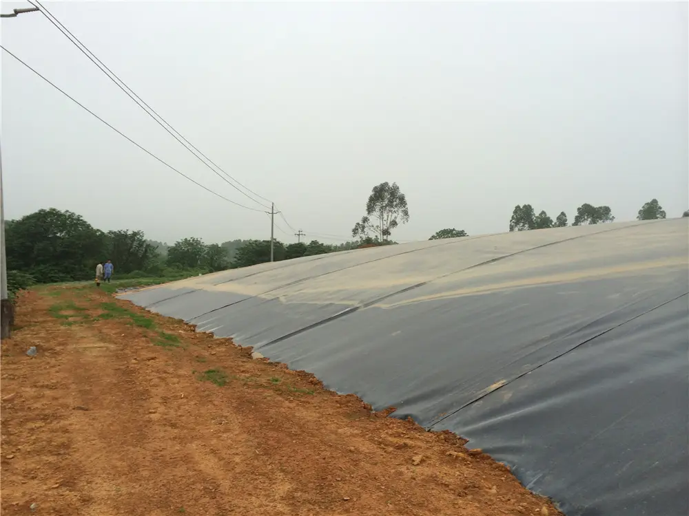 biogas tank anti-seepage project of a large pig breeding enterprise (1)qqa