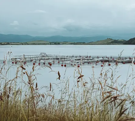 aquaculture-1r0w
