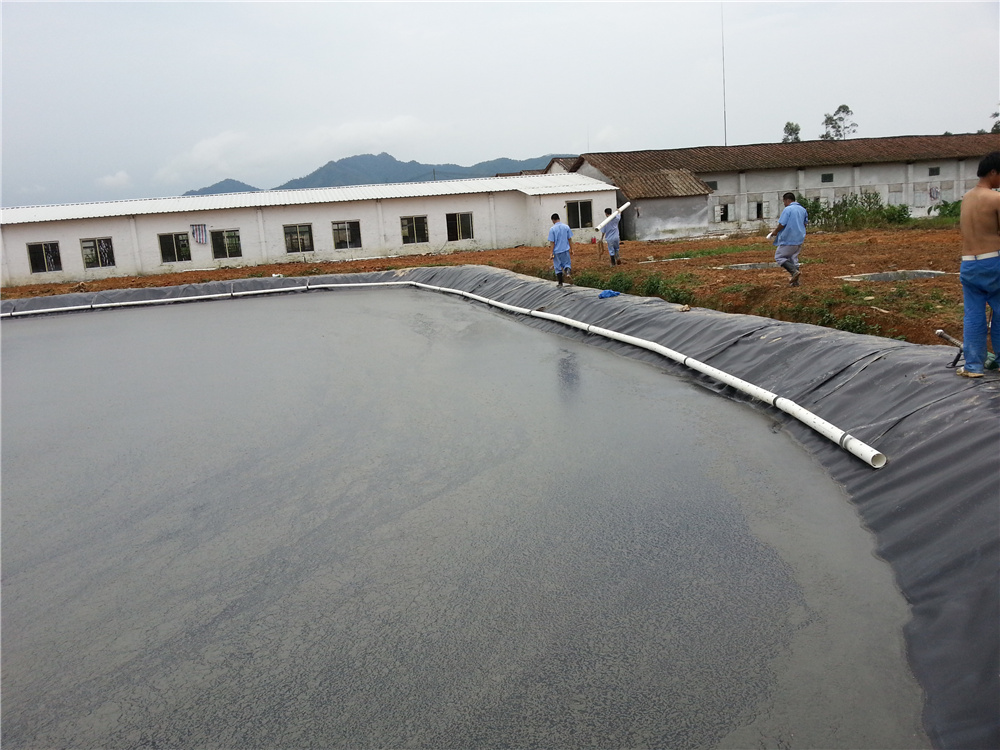 biogas tank anti-seepage project of a large pig breeding enterprise (3)u3u