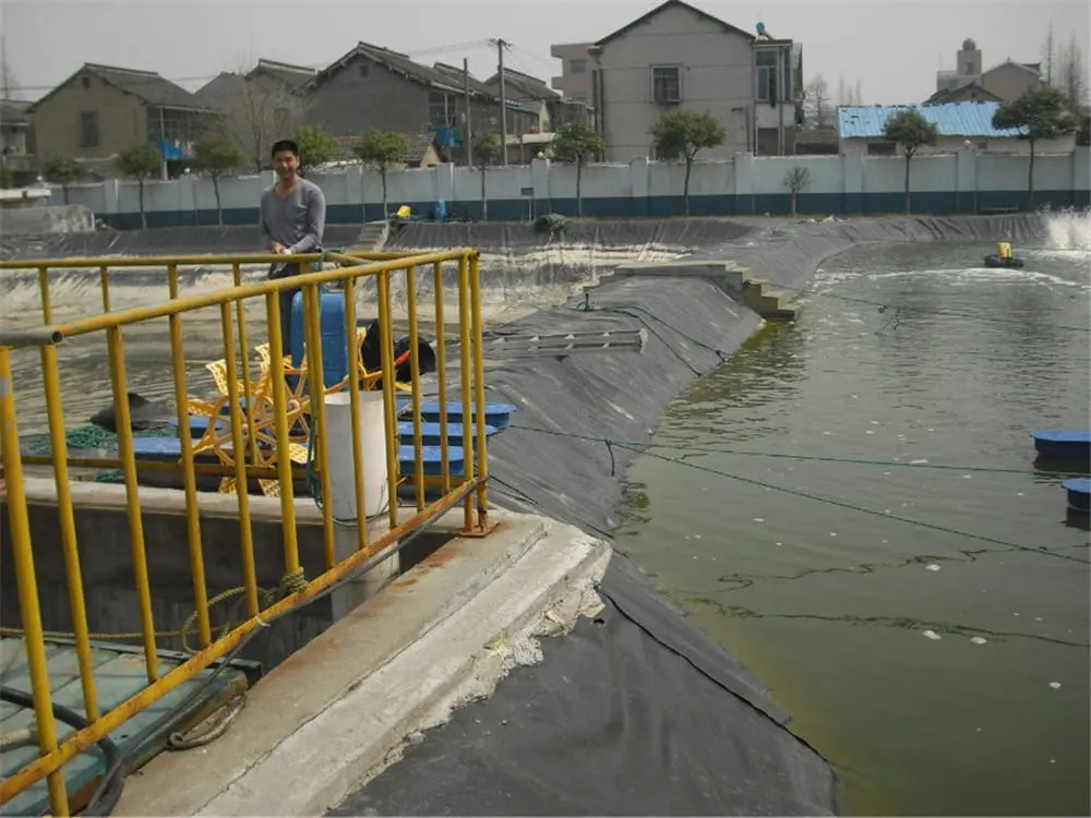 large-scale aquaculture project in a certain area of Shandong (1)sm2